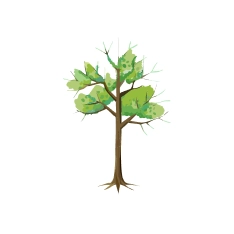 木を見て森を見ず